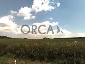 Prodej podílu pole, Výkleky, 5338 m2