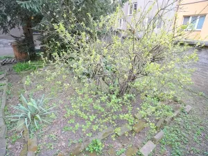 Prodej rodinného domu, Kralupy nad Vltavou, Jana Palacha, 132 m2