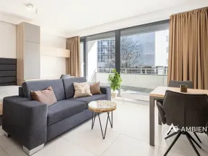 Pronájem bytu 1+kk, Brno, Mezírka, 42 m2