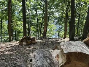 Prodej chaty, Štěchovice, 150 m2