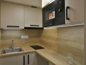 Pronájem bytu 1+kk, Brno, Koliště, 31 m2