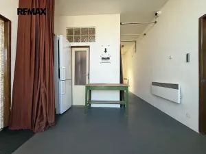 Pronájem obchodního prostoru, Horní Bříza, Sídlištní, 49 m2