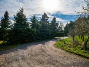 Pronájem zahrady, Plzeň, Za Sadem, 622 m2