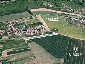 Prodej pole, Mistřice, 2445 m2