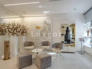 Pronájem ordinace, Praha - Josefov, Elišky Krásnohorské, 34 m2