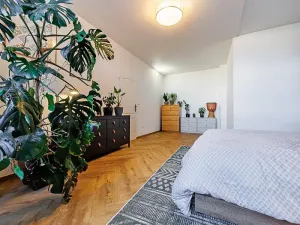 Pronájem bytu 2+kk, Olomouc, Masarykova třída, 58 m2