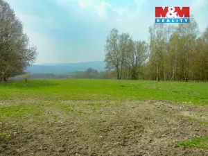 Prodej louky, Stružnice, 55278 m2