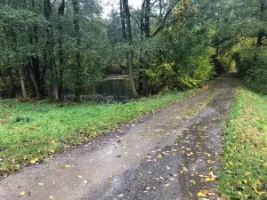 Prodej rybníku, Votice, 2482 m2