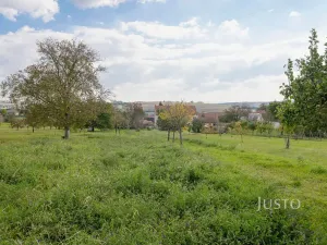 Prodej garáže, Těmice, 38 m2