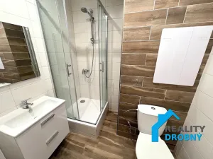 Pronájem bytu 1+1, Děčín, Čsl. partyzánů, 35 m2