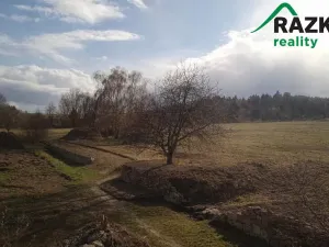 Prodej komerčního pozemku, Lestkov, 4866 m2