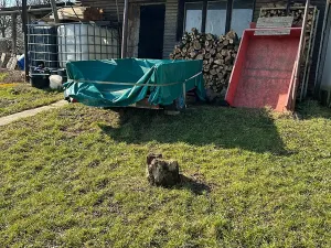 Prodej rodinného domu, Žlutava, 200 m2