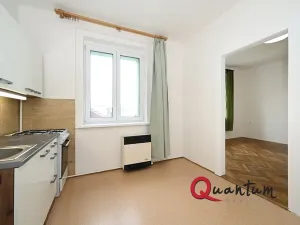 Pronájem bytu 1+1, Praha - Podolí, Výchozí, 38 m2