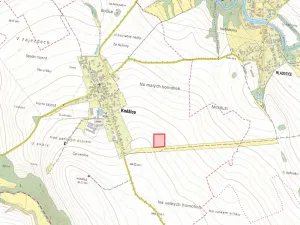 Prodej pole, Kněžice, 10659 m2