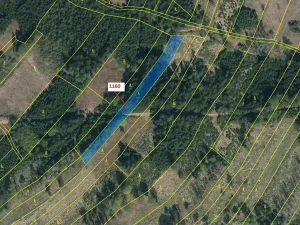 Dražba lesa, Vilice, 2693 m2