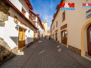 Pronájem bytu 1+kk, Beroun - Beroun-Centrum, Palackého, 38 m2