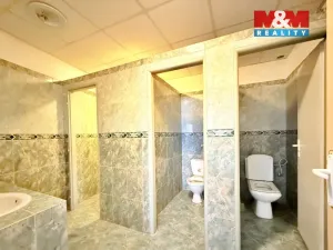 Pronájem obchodního prostoru, Lysá nad Labem, Československé armády, 95 m2