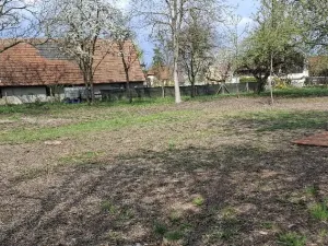 Prodej pozemku, Jenišovice, 871 m2