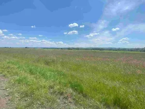 Prodej pozemku, Kravaře, 2873 m2