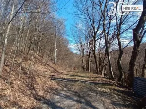 Prodej pozemku, Vsetín, 52963 m2