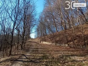 Prodej pozemku, Vsetín, 52963 m2