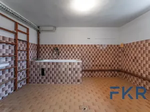 Prodej rodinného domu, Mlečice, 234 m2