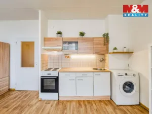 Pronájem bytu 1+kk, Plzeň - Severní Předměstí, Sokolovská, 27 m2