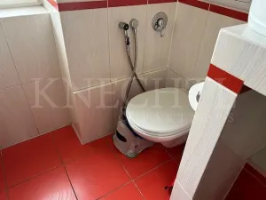 Prodej bytu 3+1, Ostrov, Hlavní třída, 76 m2