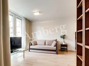 Prodej bytu 2+kk, Praha - Žižkov, Na Vackově, 53 m2