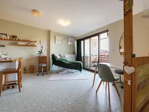 Prodej vícegeneračního domu, Brno, Otakara Ševčíka, 190 m2