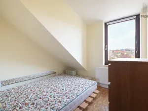 Prodej vícegeneračního domu, Brno, Otakara Ševčíka, 190 m2