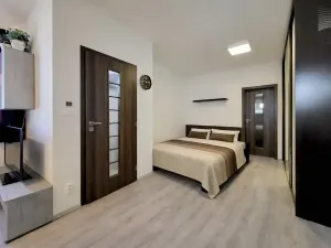 Prodej bytu 1+kk, Brno, Křenová, 32 m2