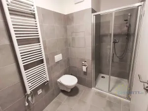 Pronájem bytu 1+kk, Praha - Vysočany, Kabešova, 41 m2