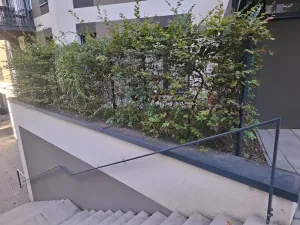 Pronájem bytu 3+kk, Praha - Žižkov, Olgy Havlové, 71 m2