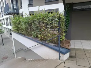 Pronájem obchodního prostoru, Praha - Žižkov, Olgy Havlové, 71 m2