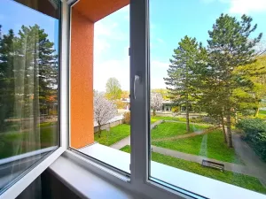 Prodej bytu 3+1, Uherské Hradiště, Na Rybníku, 79 m2