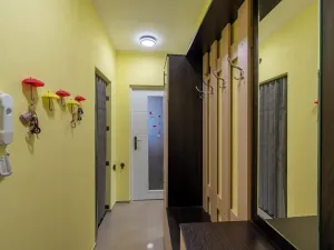 Prodej bytu 2+1, Brno, Foerstrova, 54 m2