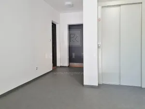 Pronájem bytu 1+kk, Brno, Kleštínek, 39 m2