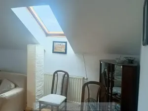 Pronájem bytu 1+kk, Rádlo, 45 m2