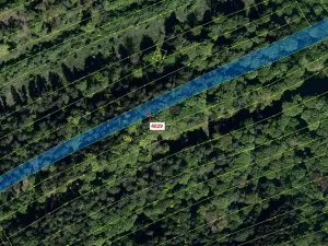 Dražba lesa, Pitín, 5996 m2