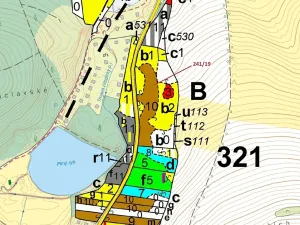 Dražba lesa, Cetoraz, 17171 m2
