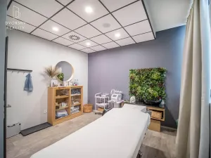 Prodej obchodního prostoru, Mladá Boleslav, Mileny Hážové, 4857 m2