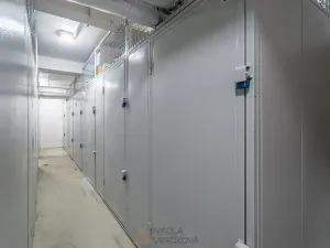 Pronájem bytu 2+kk, Brno, Burešova, 53 m2