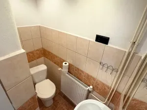 Prodej ubytování, Nová Včelnice, 220 m2