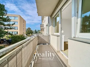 Pronájem bytu 2+1, Znojmo, náměstí Svobody, 86 m2