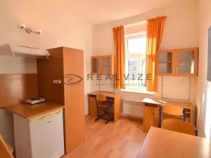 Pronájem bytu 1+kk, České Budějovice, Šumavská, 21 m2