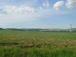 Prodej pozemku pro bydlení, Rokycany, Tymákovská, 12831 m2