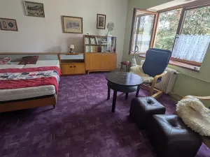 Prodej rodinného domu, Plzeň, Plaská, 60 m2