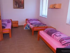 Prodej ubytování, Skorošice, Nýznerovská, 281 m2