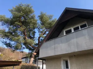 Prodej chaty, Hlubočky, 80 m2